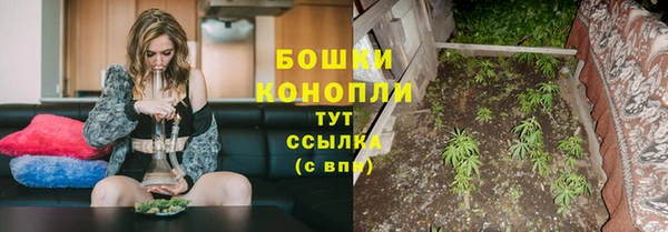 мдпв Куйбышев