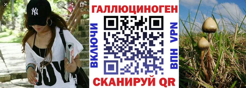 Псилоцибиновые грибы мухоморы  blacksprut зеркало  Родники 