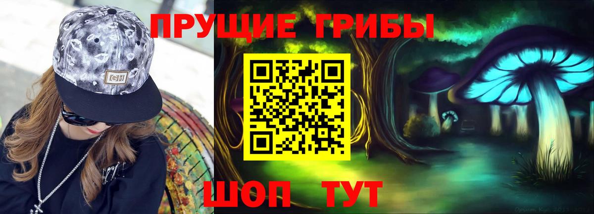 Галлюциногенные грибы Magic Shrooms  Вход с VPN  Родники  наркошоп  Псилоцибиновые грибы GOLDEN TEACHER 